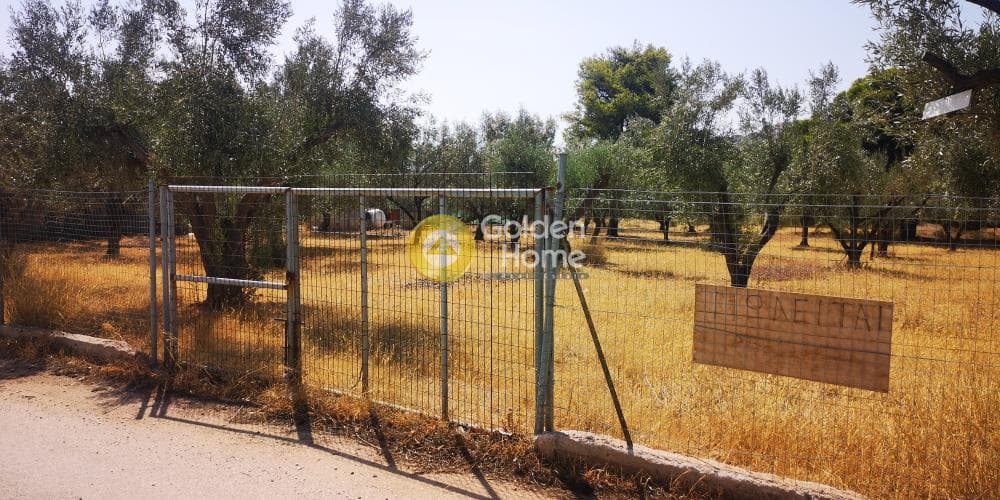 Αγροτεμάχιο στην Μαύρο Λιθάρι, Σαρωνίδα — Φωτογραφία 2 από 4