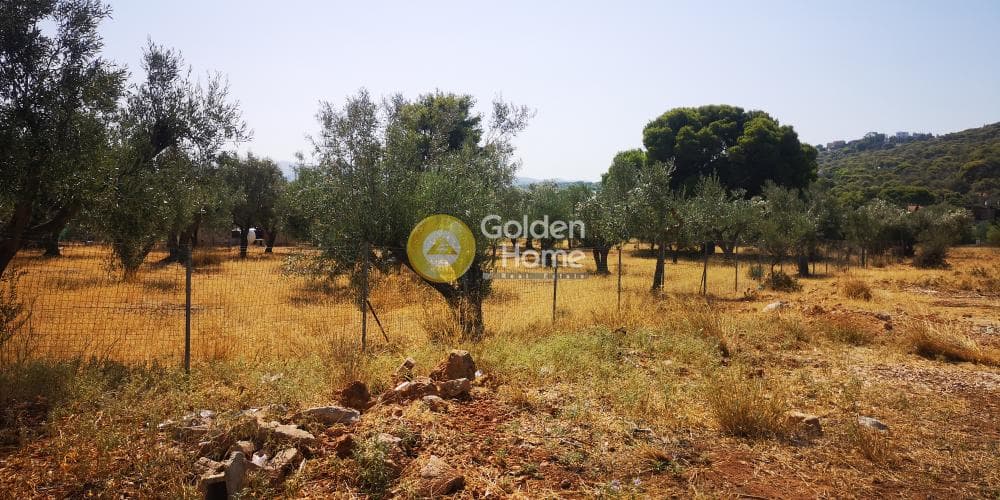 Αγροτεμάχιο στην Μαύρο Λιθάρι, Σαρωνίδα — Φωτογραφία 3 από 4