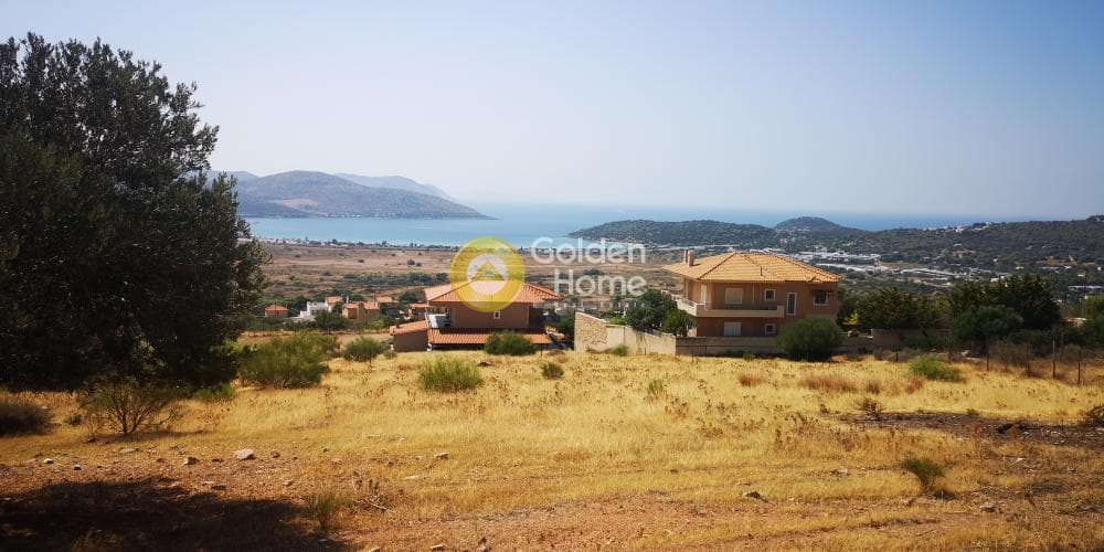 Parcel in Anavyssos Center, Anavissos — Photo 4 of 4