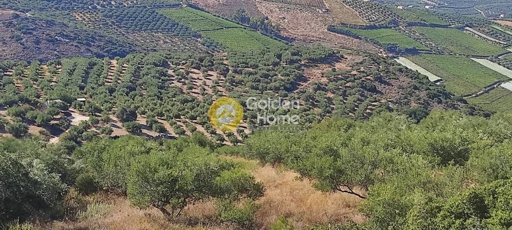 Οικόπεδο στην Κάτω Αρχάνες, Αρχάνες — Φωτογραφία 9 από 10