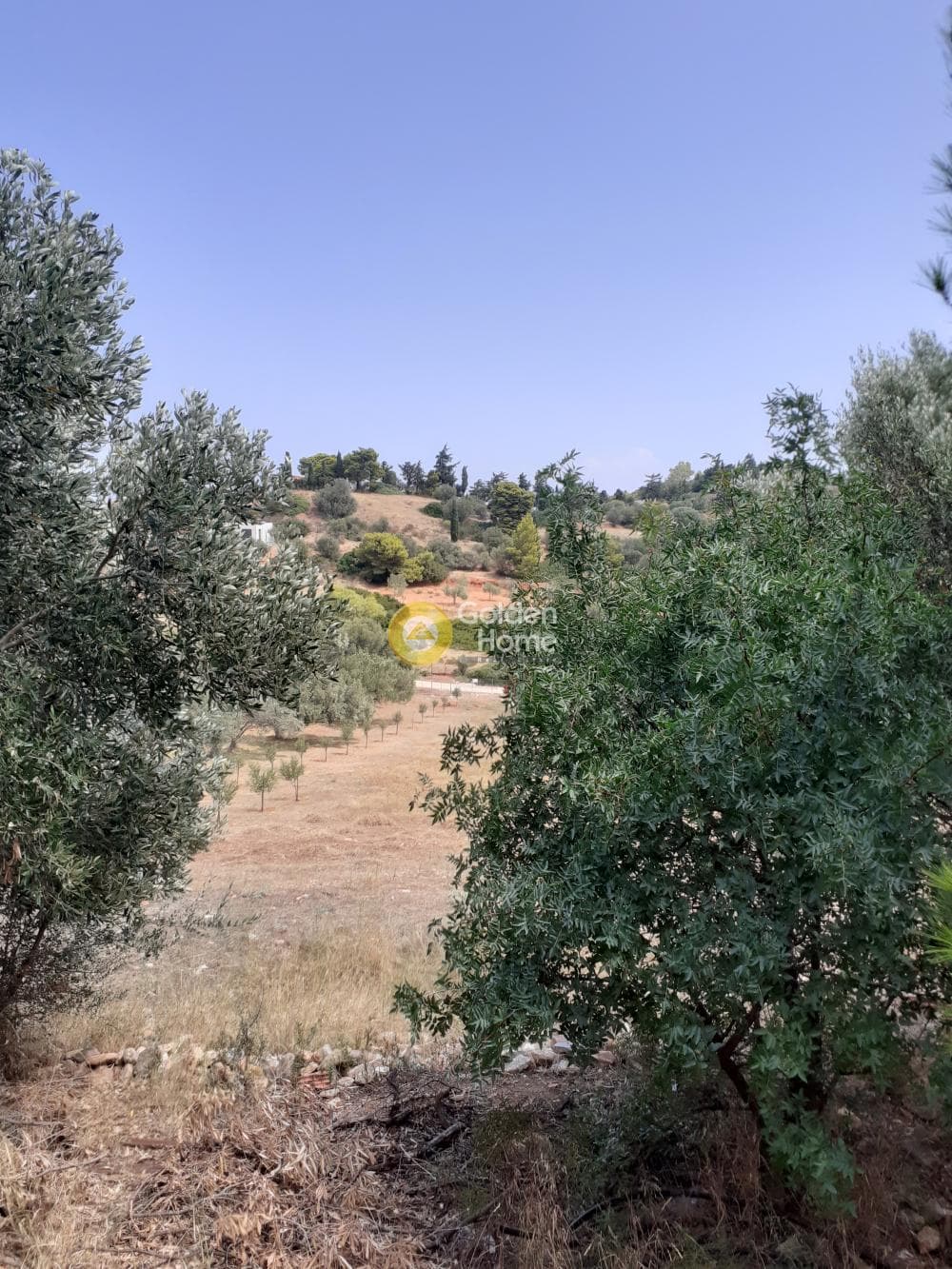 House in Panorama, Rafina — Photo 16 of 25