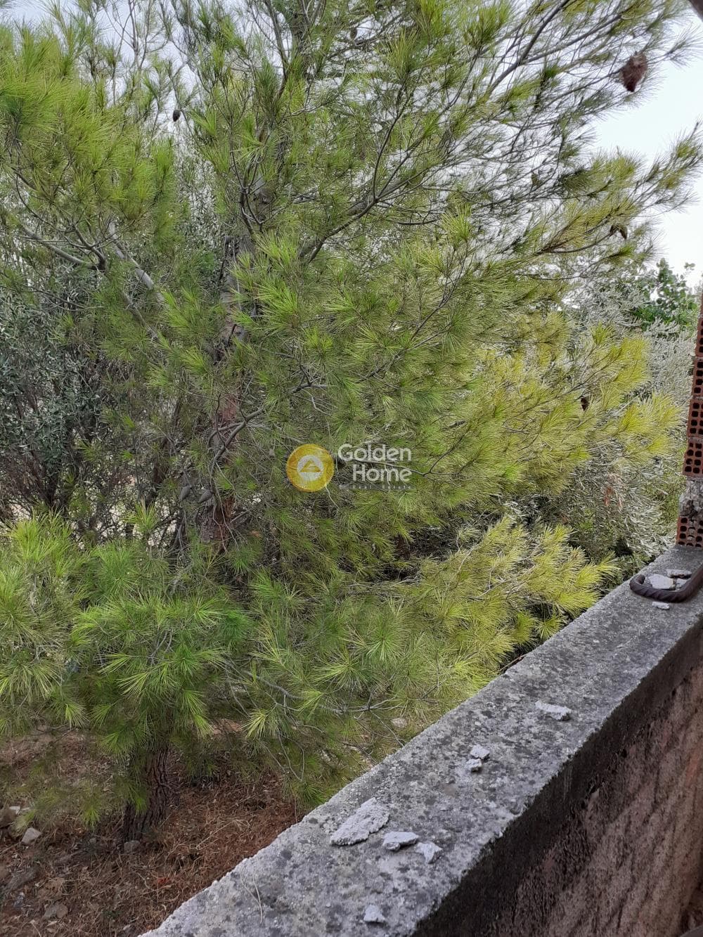 House in Panorama, Rafina — Photo 9 of 25