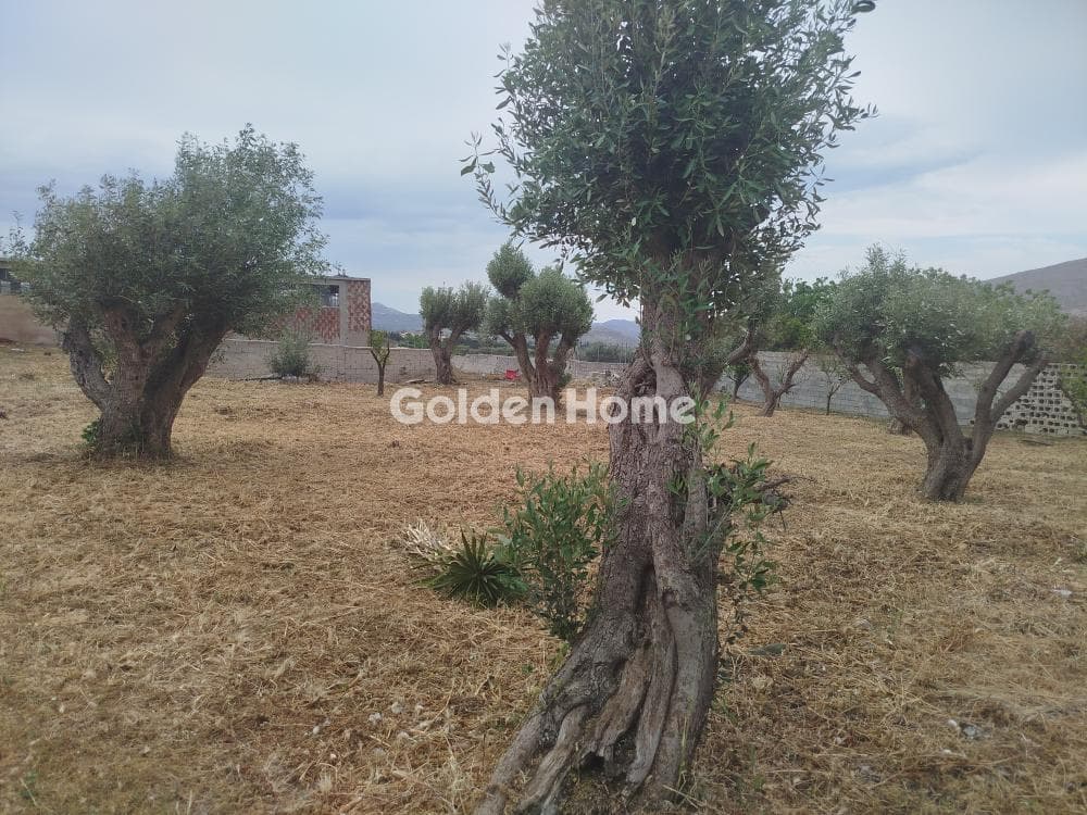 Μονοκατοικία στην Καλύβια, Καλύβια Θορικού — Φωτογραφία 2 από 6
