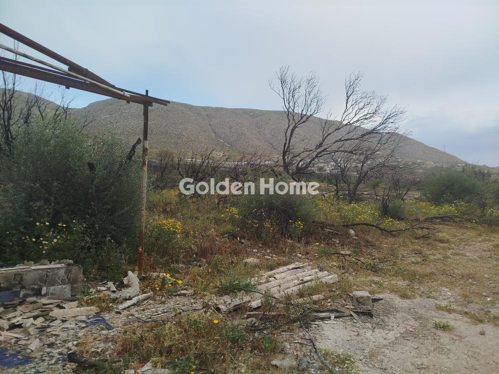 Μονοκατοικία στην Καλύβια, Καλύβια Θορικού — Φωτογραφία 6 από 6