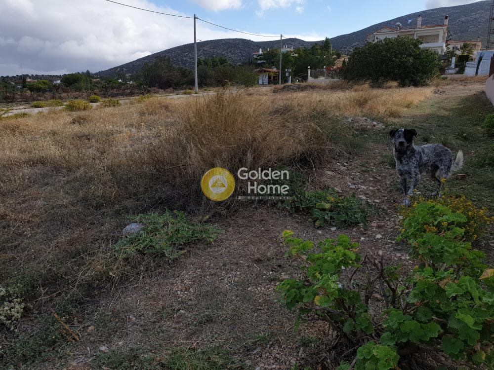 Building Plot in Galazia akti, Kalivia Thorikou — Photo 3 of 3