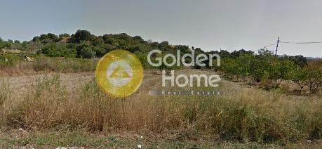 Parcel in Nimfon, Agios Stefanos — Photo 4 of 4
