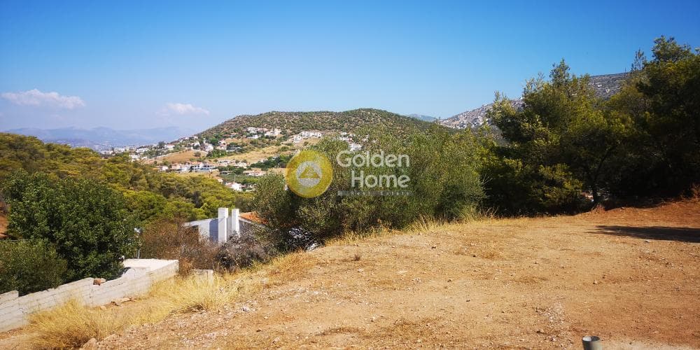 Parcel in Agios Nikolaos, Anavissos — Photo 2 of 5