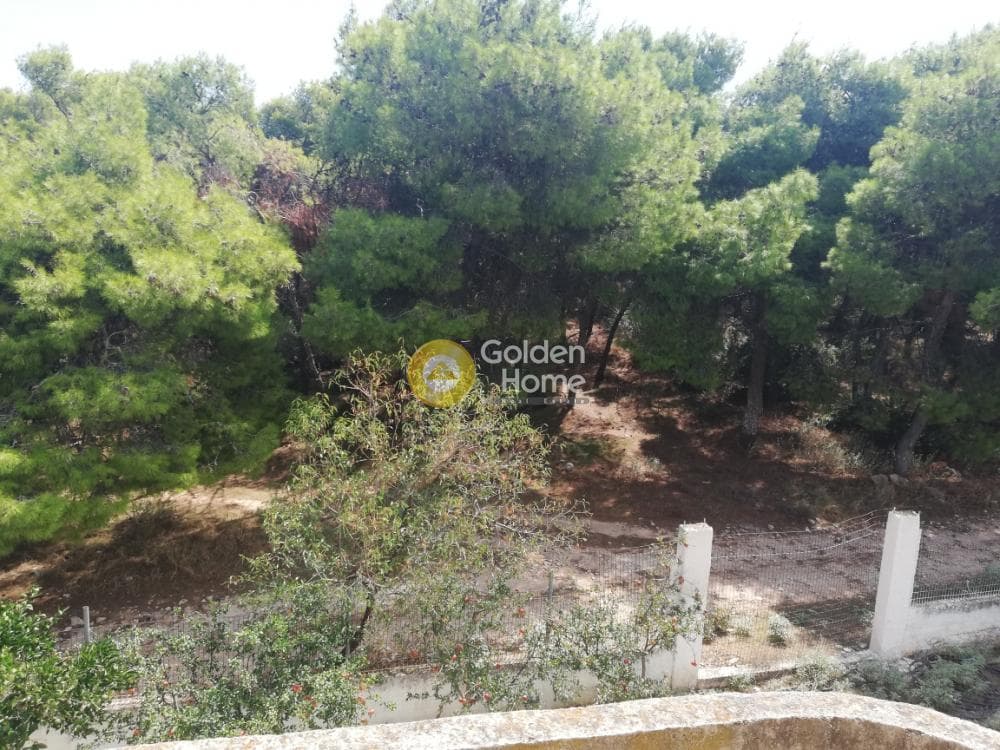 Μονοκατοικία στην Κέντρο, Κορωπί — Φωτογραφία 5 από 13