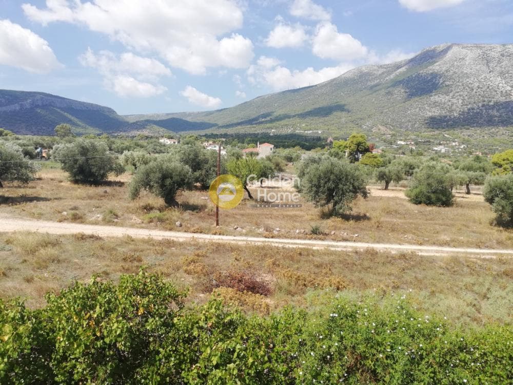 Μονοκατοικία στην Κέντρο, Κορωπί — Φωτογραφία 11 από 13