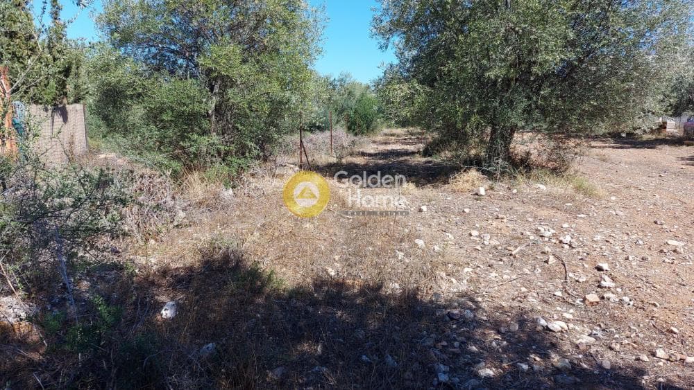 Οικόπεδο στην Αγία Μαρίνα, Παιανία — Φωτογραφία 1 από 9