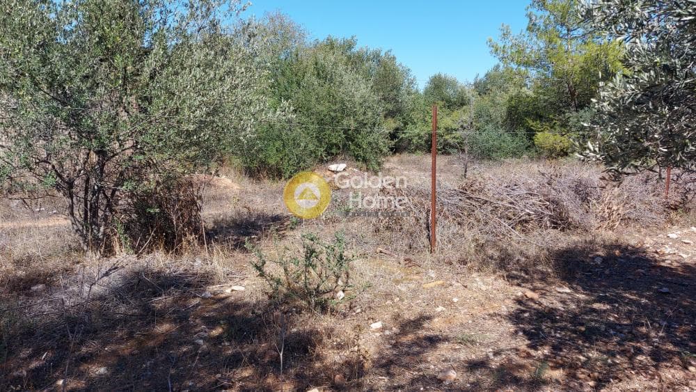 Οικόπεδο στην Αγία Μαρίνα, Παιανία — Φωτογραφία 3 από 9