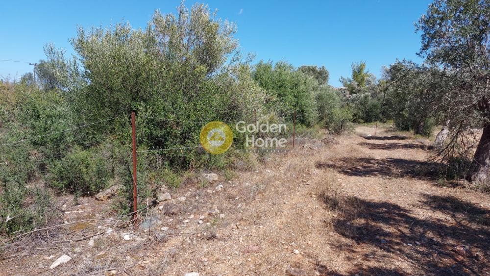 Οικόπεδο στην Αγία Μαρίνα, Παιανία — Φωτογραφία 4 από 9