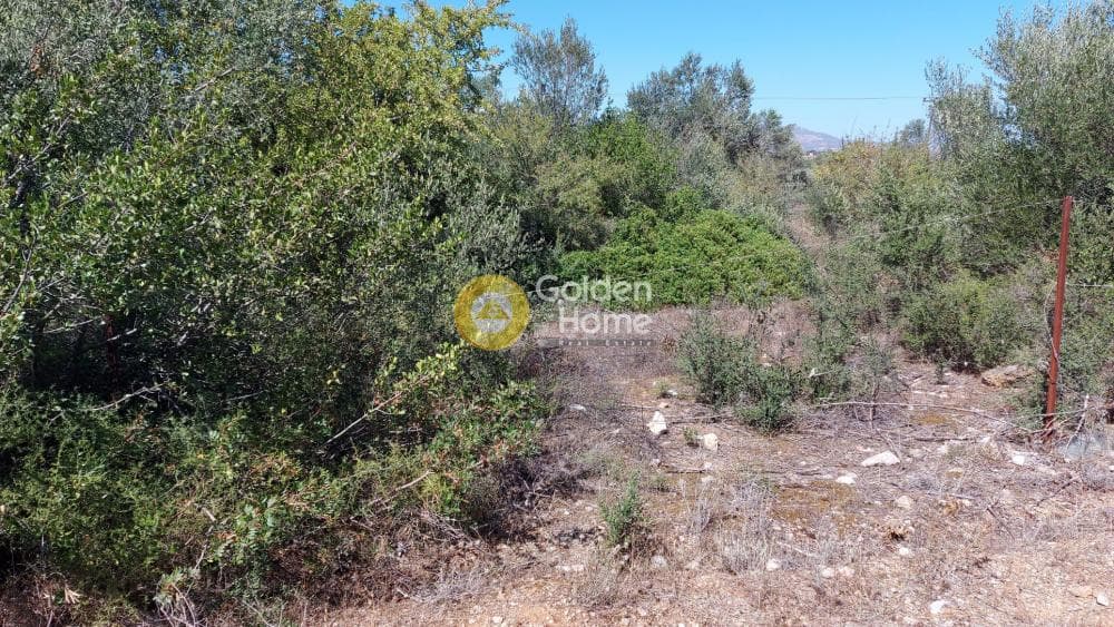 Οικόπεδο στην Αγία Μαρίνα, Παιανία — Φωτογραφία 5 από 9