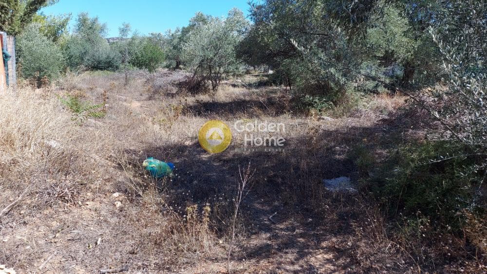 Οικόπεδο στην Αγία Μαρίνα, Παιανία — Φωτογραφία 6 από 9