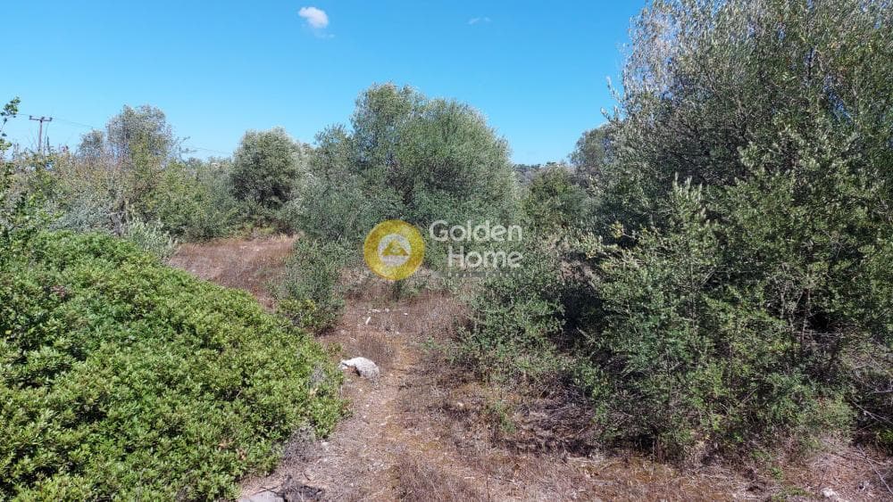Οικόπεδο στην Αγία Μαρίνα, Παιανία — Φωτογραφία 7 από 9