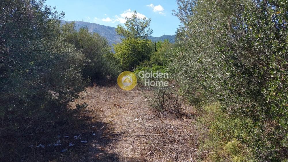 Οικόπεδο στην Αγία Μαρίνα, Παιανία — Φωτογραφία 8 από 9