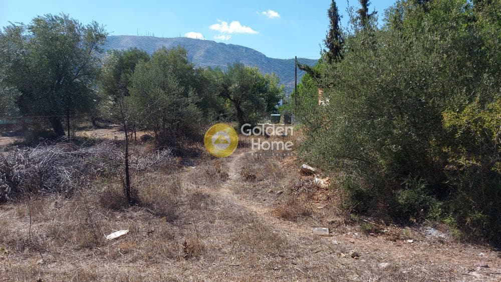 Οικόπεδο στην Αγία Μαρίνα, Παιανία — Φωτογραφία 9 από 9