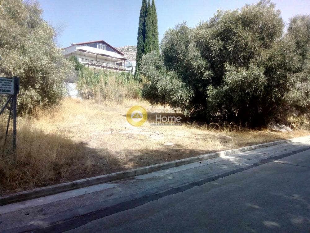 Οικόπεδο στην Σαρωνίδα, Σαρωνίδα — Φωτογραφία 5 από 8