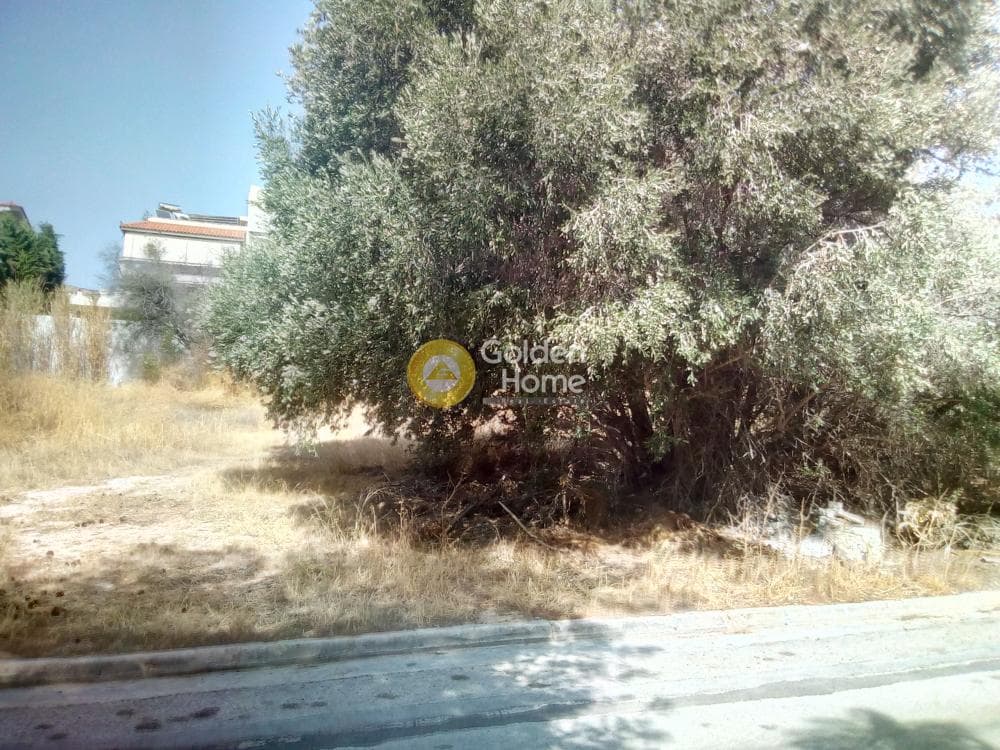 Οικόπεδο στην Σαρωνίδα, Σαρωνίδα — Φωτογραφία 7 από 8