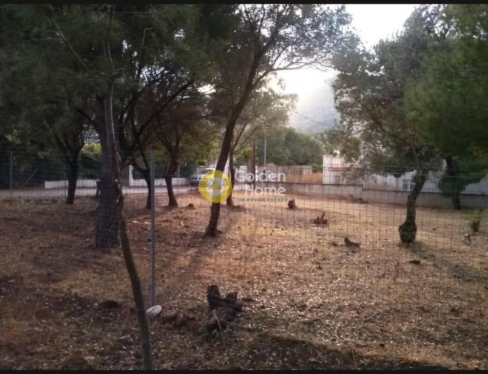Οικόπεδο στην Νέο Λιβύσσι, Νέα Μάκρη — Φωτογραφία 5 από 5