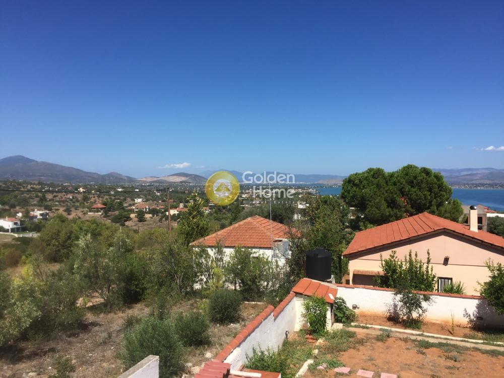 Μονοκατοικία στην Πλάκα Δήλεσι, Οινόφυτα — Φωτογραφία 3 από 31