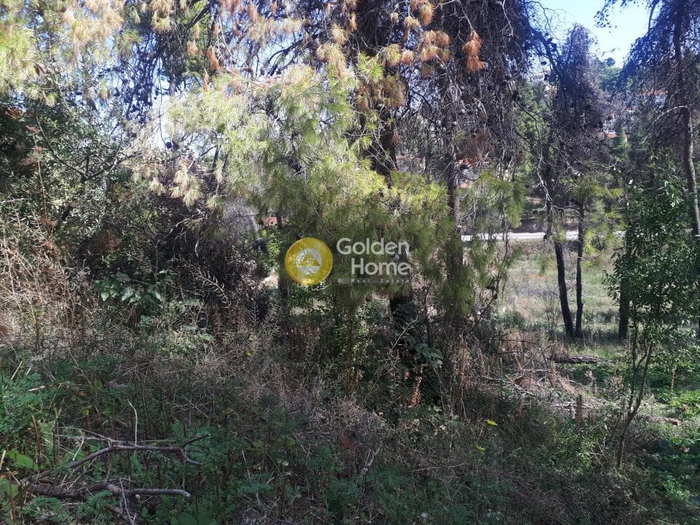 Building Plot in Rodopoli, Rodopoli — Photo 1 of 15