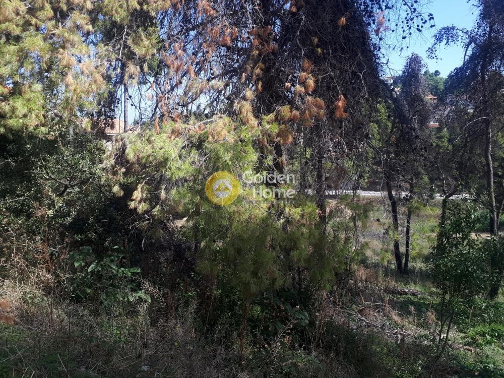 Building Plot in Rodopoli, Rodopoli — Photo 2 of 15