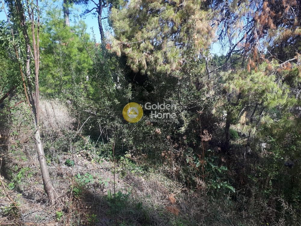 Building Plot in Rodopoli, Rodopoli — Photo 3 of 15