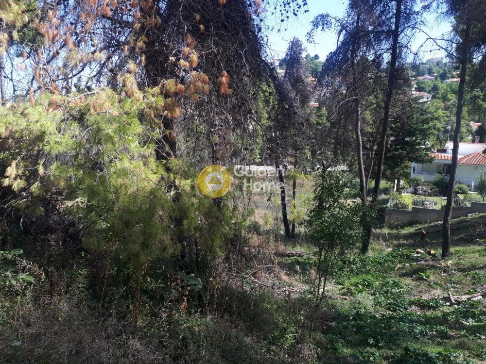 Building Plot in Rodopoli, Rodopoli — Photo 4 of 15