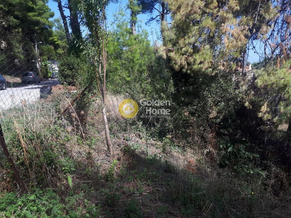 Building Plot in Rodopoli, Rodopoli — Photo 6 of 15