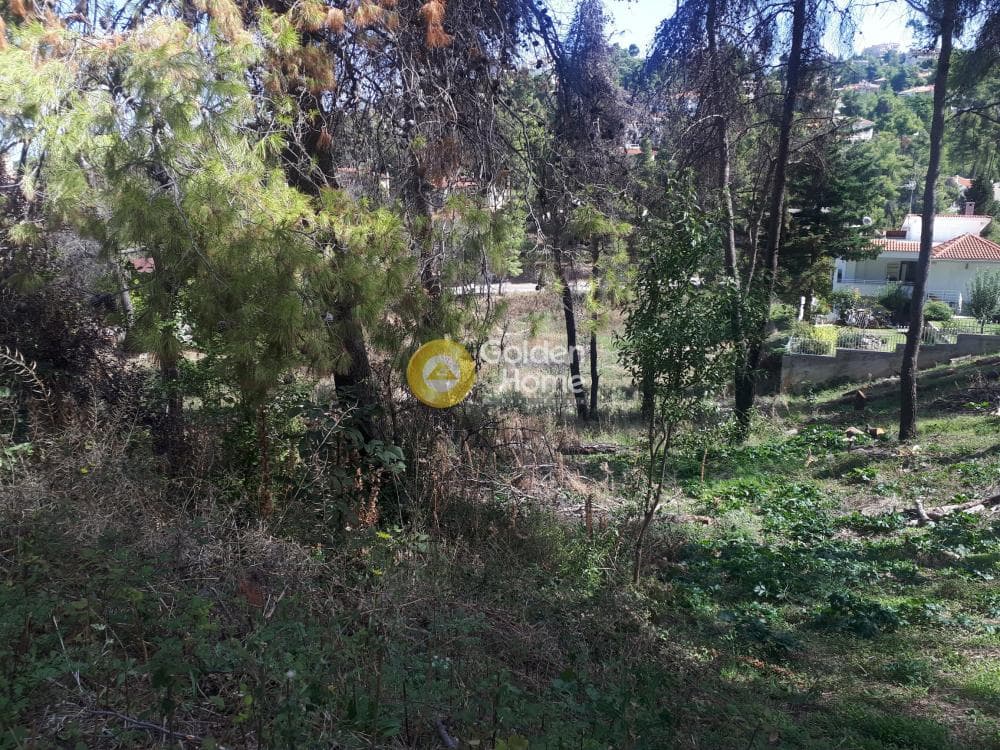 Building Plot in Rodopoli, Rodopoli — Photo 10 of 15