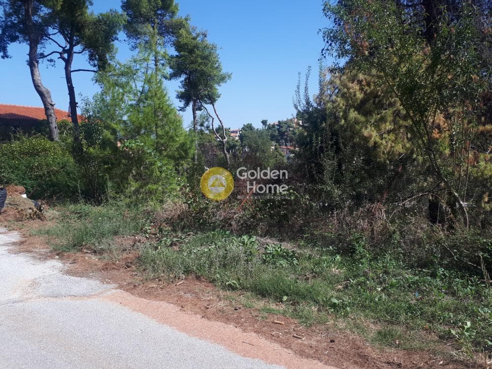 Building Plot in Rodopoli, Rodopoli — Photo 8 of 15