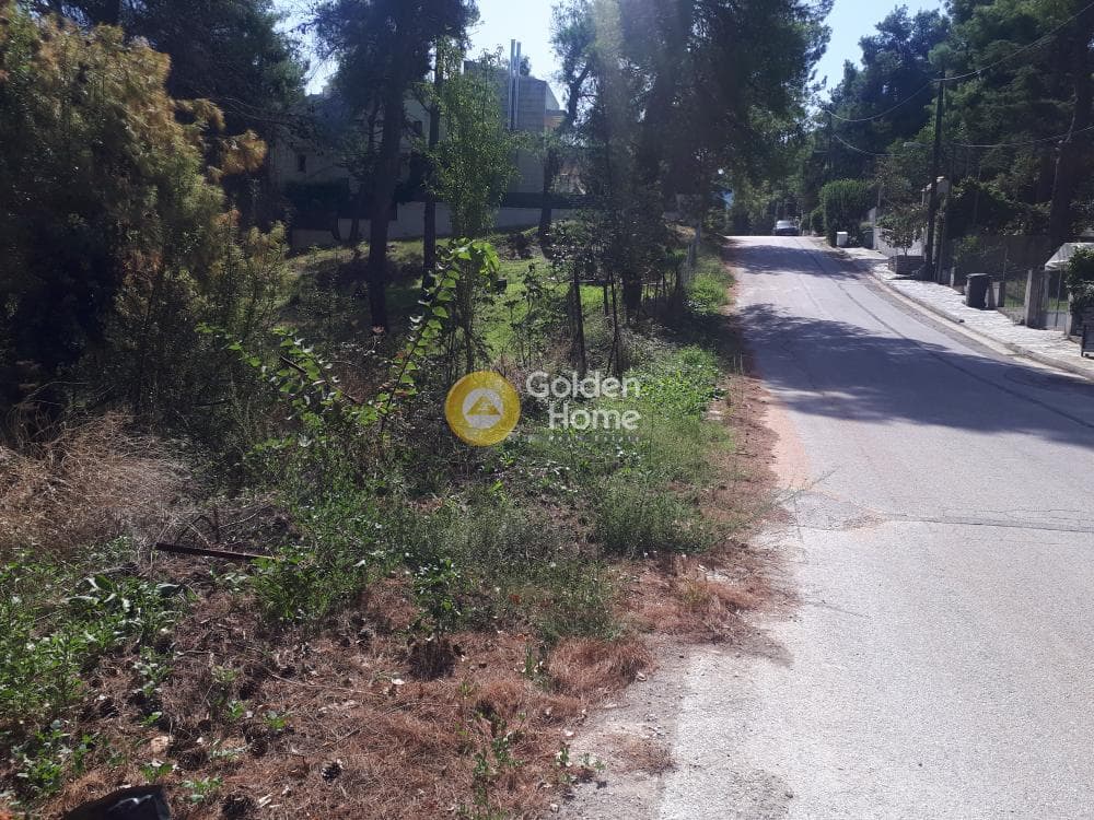 Building Plot in Rodopoli, Rodopoli — Photo 7 of 15