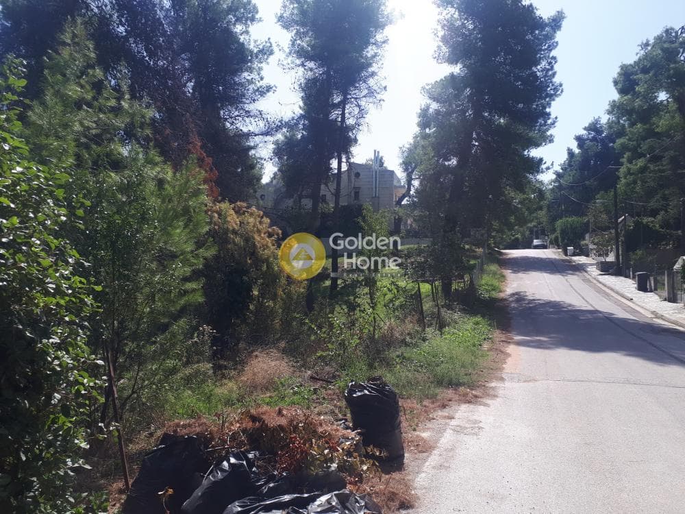 Building Plot in Rodopoli, Rodopoli — Photo 13 of 15