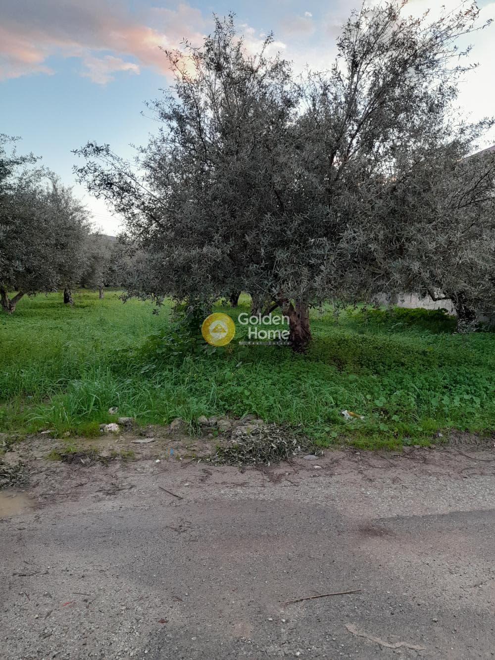 Building Plot in Kappariana, Moires — Photo 1 of 3