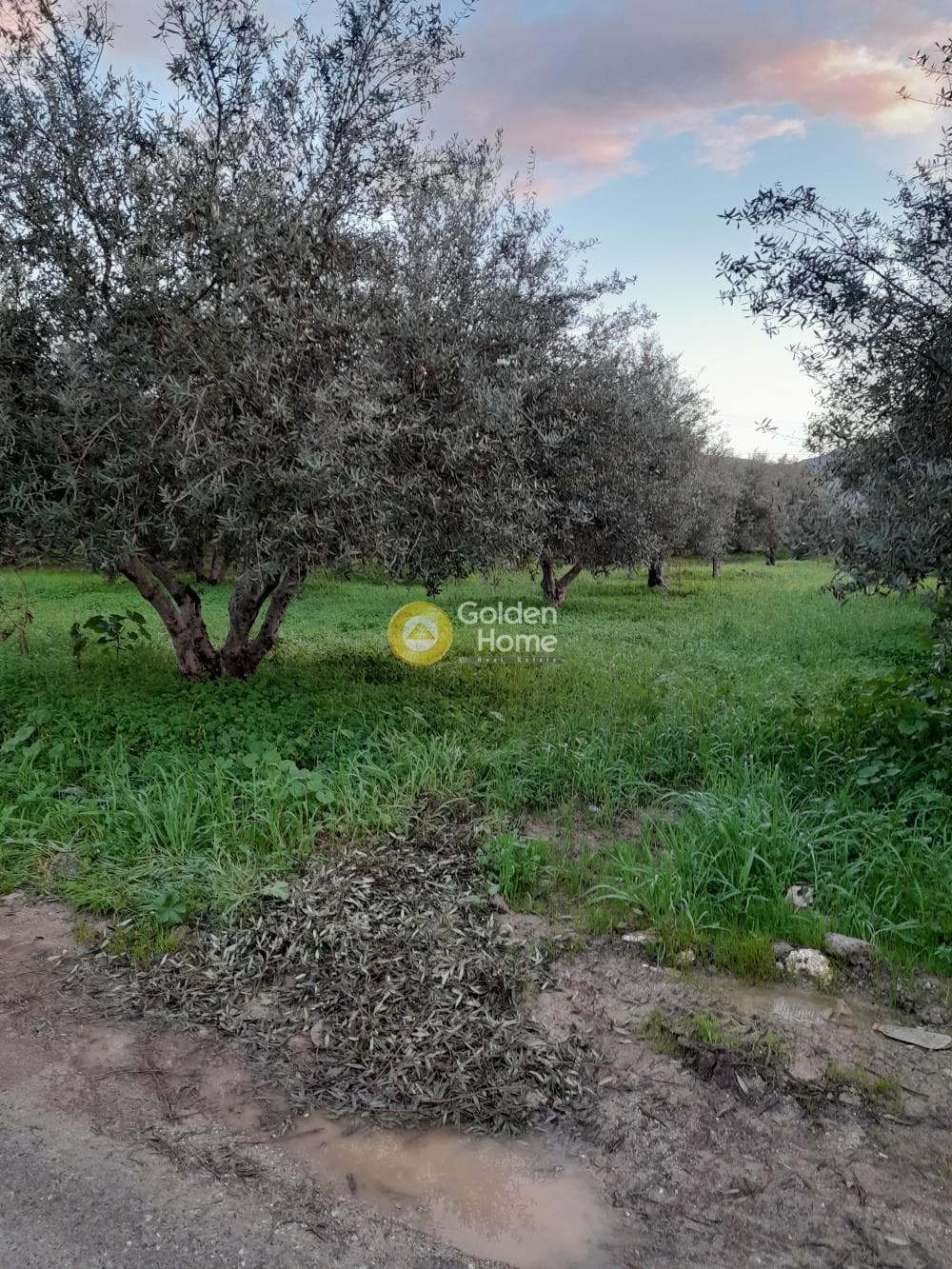 Building Plot in Kappariana, Moires — Photo 2 of 3