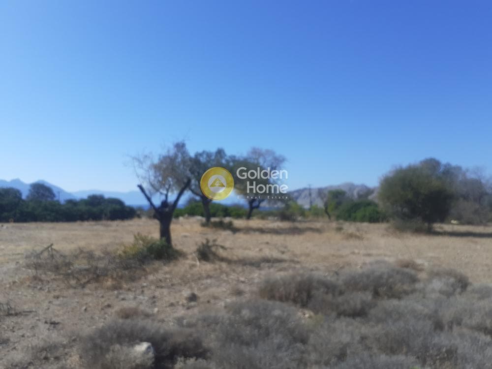 Οικόπεδο στην Πέρδικα, Αίγινα — Φωτογραφία 4 από 6