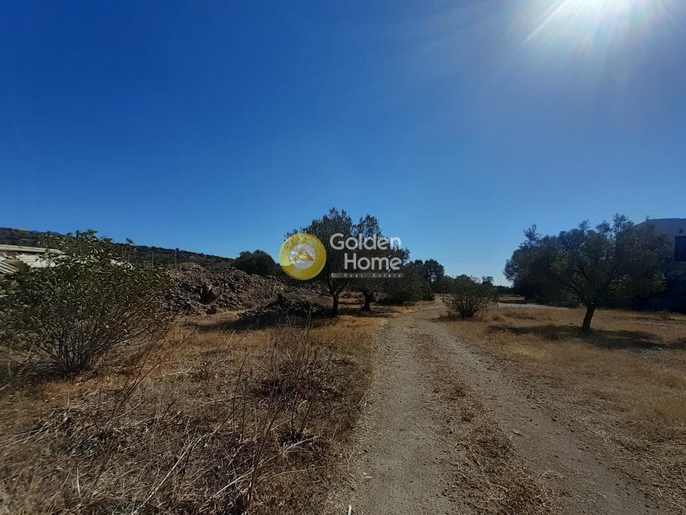 Οικόπεδο στην Πέρδικα, Αίγινα — Φωτογραφία 5 από 6