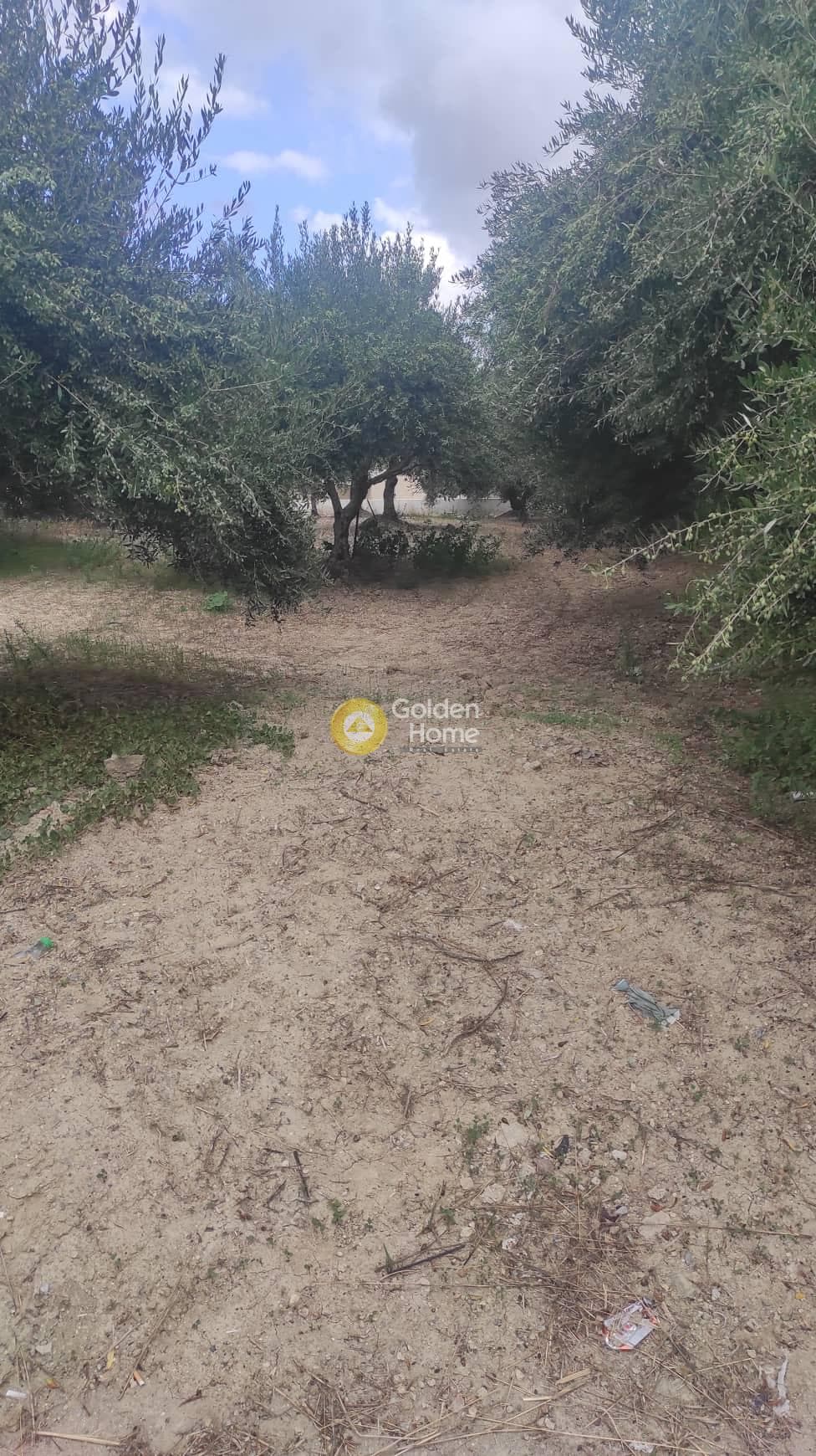Οικόπεδο στην Άγιες Παρασκιές, Αρχάνες — Φωτογραφία 3 από 5
