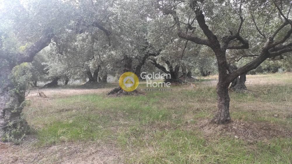 Οικόπεδο στην Καλλονή, Αρχάνες — Φωτογραφία 4 από 8