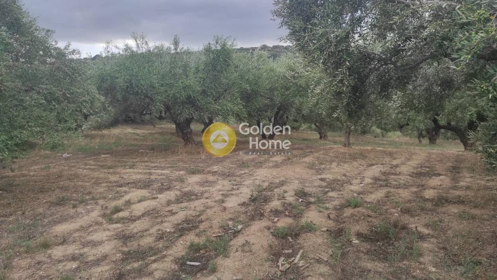 Οικόπεδο στην Καλλονή, Αρχάνες — Φωτογραφία 2 από 8