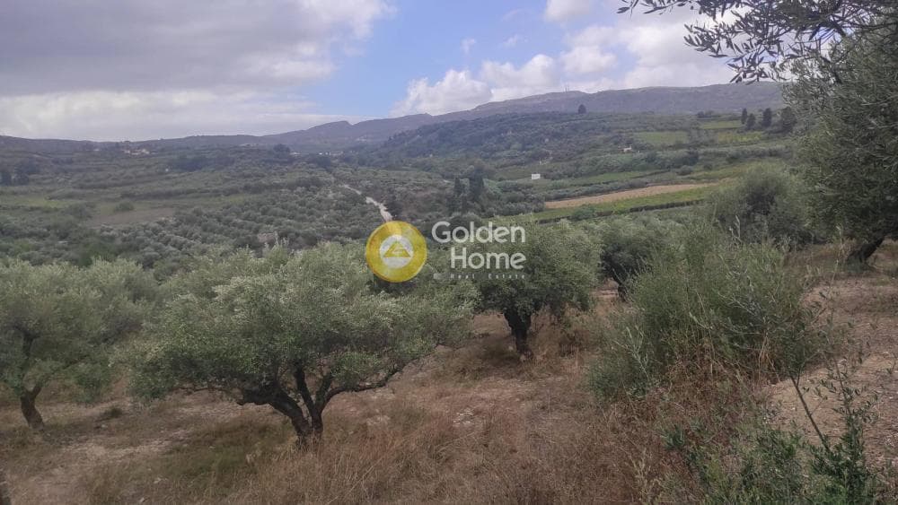 Οικόπεδο στην Καλλονή, Αρχάνες — Φωτογραφία 8 από 8