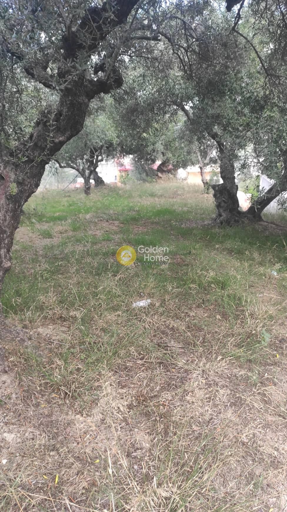Οικόπεδο στην Καλλονή, Αρχάνες — Φωτογραφία 4 από 4