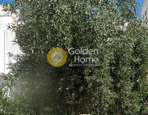 Οικόπεδο στην Πλατεία Παπαδιαμάντη, Άνω Πατήσια