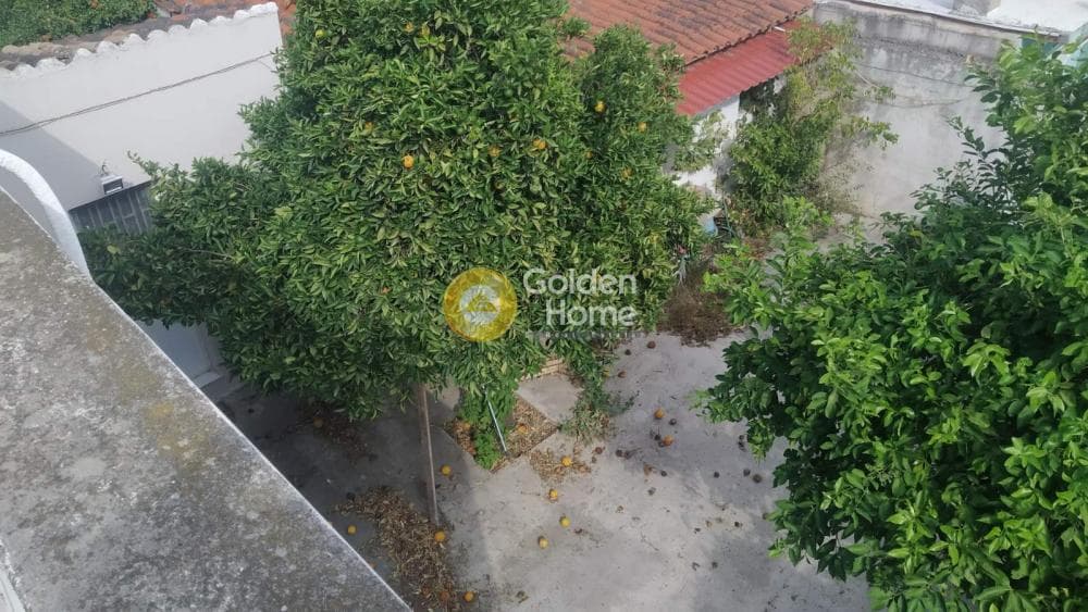 Μονοκατοικία στην Μποφίλια, Μεταμόρφωση — Φωτογραφία 20 από 29
