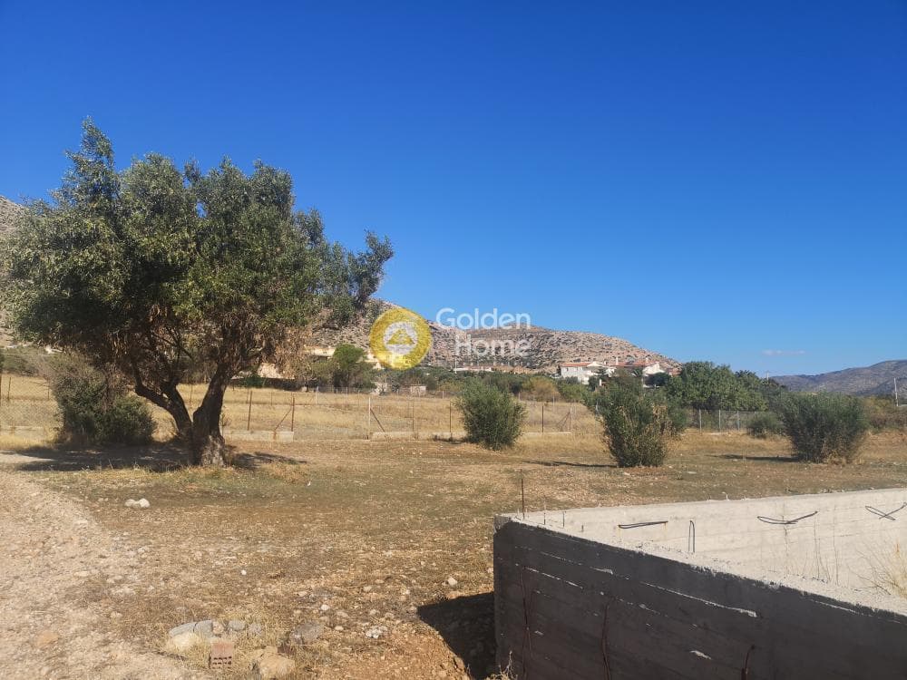 Parcel in Agios Panteleimonas, Anavissos — Photo 1 of 5