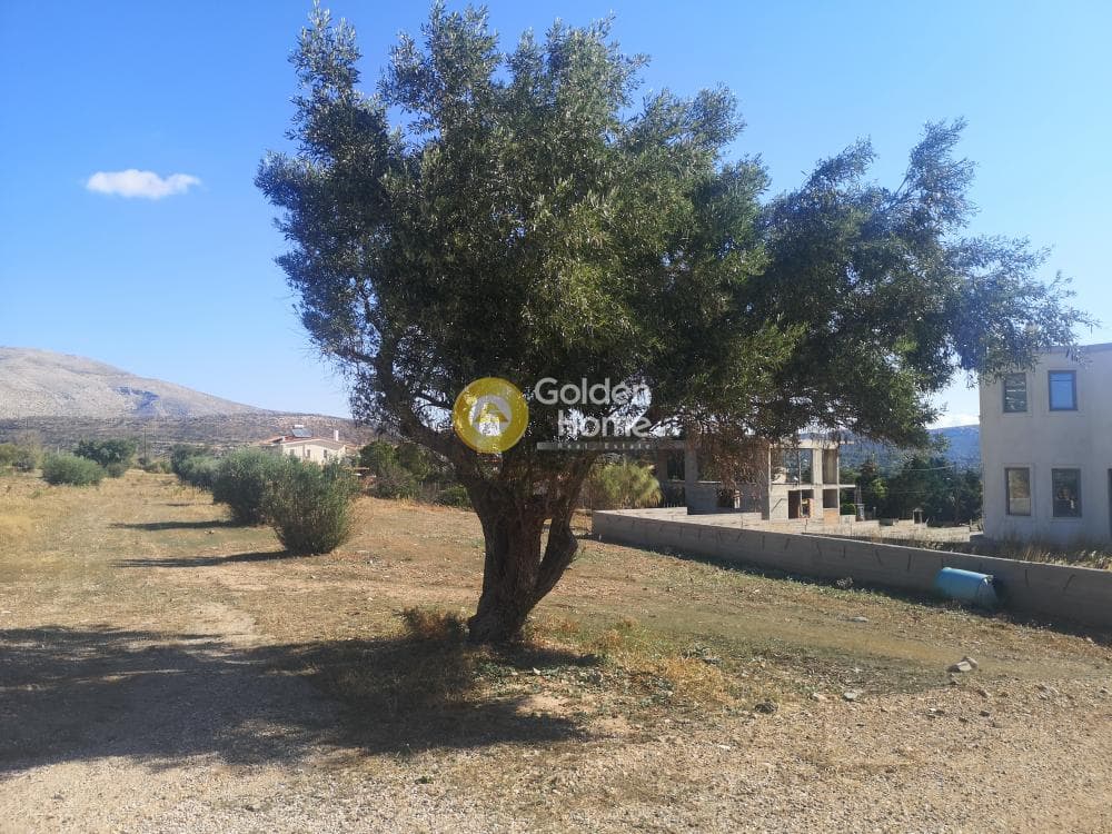 Parcel in Agios Panteleimonas, Anavissos — Photo 2 of 5