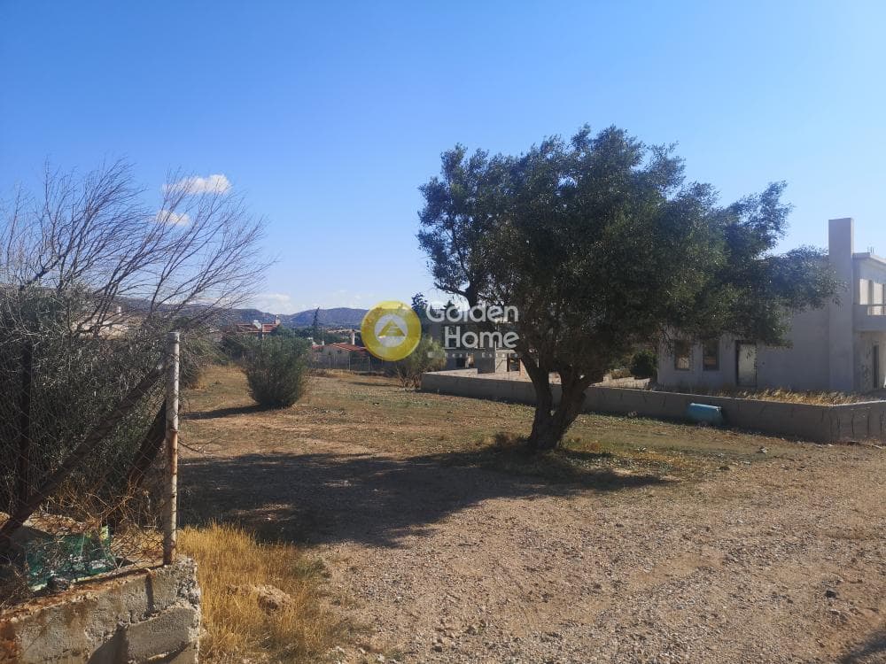 Parcel in Agios Panteleimonas, Anavissos — Photo 4 of 5