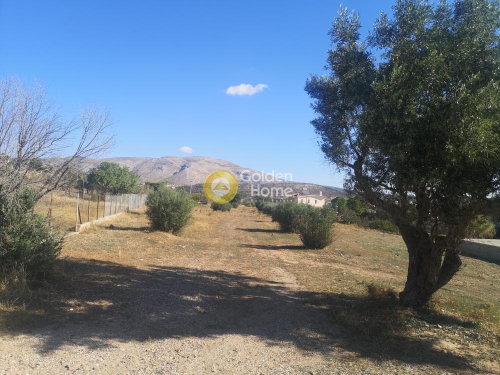 Parcel in Agios Panteleimonas, Anavissos — Photo 3 of 5