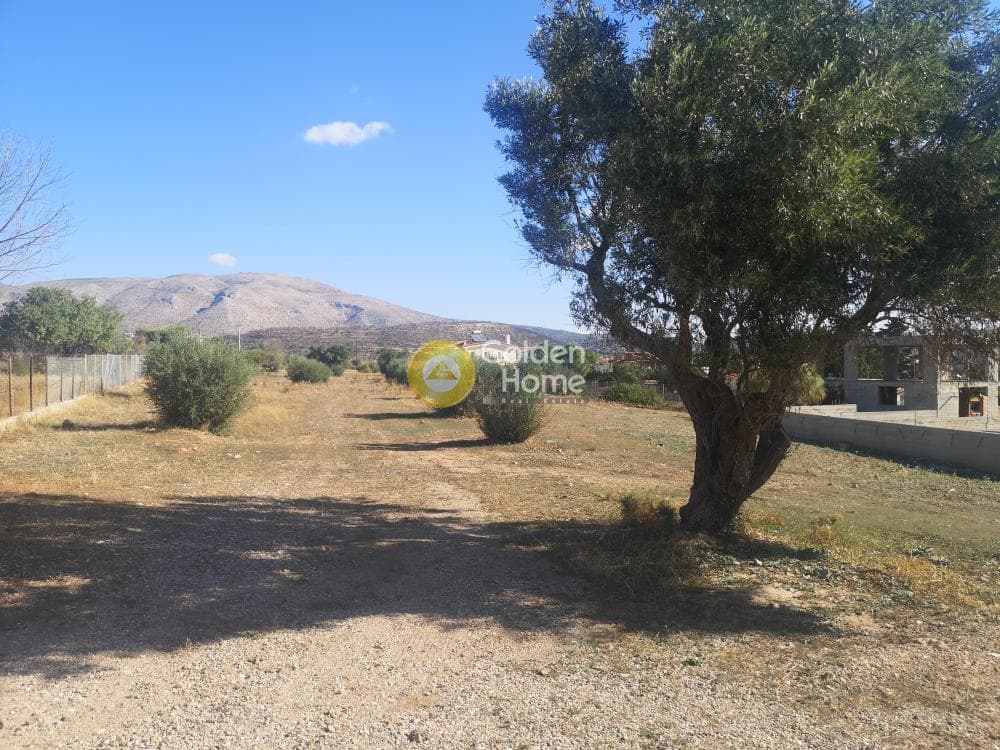 Parcel in Agios Panteleimonas, Anavissos — Photo 5 of 5